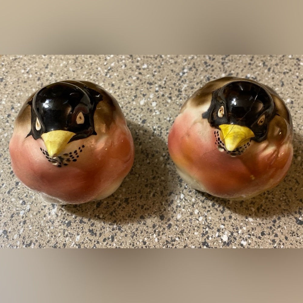 Vintage Pair of Robins Salt & Pepper Shakers by PAULUX ~Made in Japan